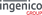 Ingenico